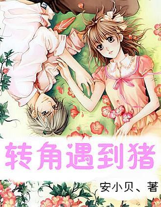造成2万余名投资者损失超11亿元 上海法院公开庭审“拆豆豆”集资诈骗案