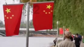 救援花栗鼠