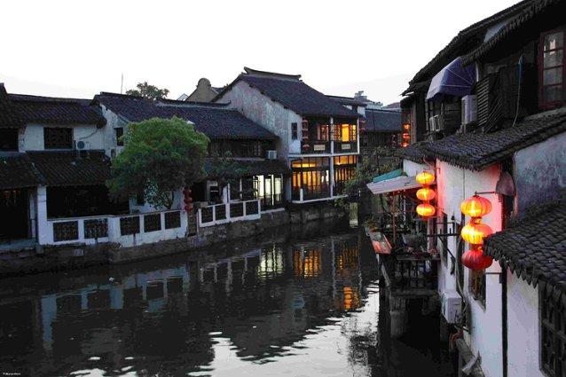 逃离梦想花园
