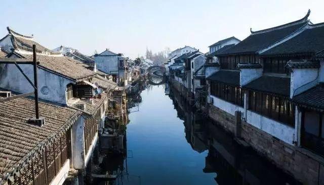 价值8000元的柯尔鸭公园放风时被抓走,民警从厨房救回